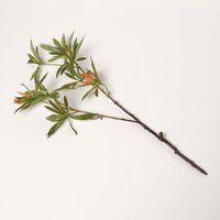 Homescapes Green Elaeocarpus Leaf Single Stem Spray 92 cm - Green