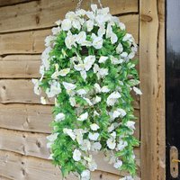 Morning Glory Trailing Flowers with Rattan Wicker Hanging Baskets - Ivory White