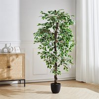Artificial Weeping Fig Plant in Plastic Pot - Green