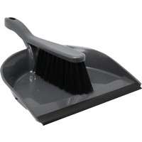 Chemisure Dustpan and Brush - Grey