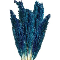 Vibrant Cantal Grass Bunch Dried Coloured Floral - Blue