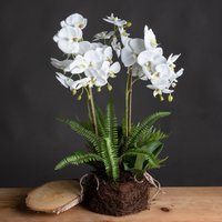 Large Orchid Fern Garden in Rootball Realistic Artificial Plant - White