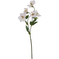 Set of 3 Artificial Hellebore Stems - White