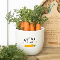 KDMD Bunny Treats Ceramic Storage Pot - 1500ml Kitchen & Garden Use in White
