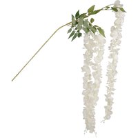 Trailing White Wisteria