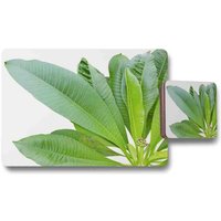 Collection Of Green Leaves On White Placemat Coaster Set - Green