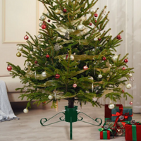Indoor Christmas Tree Stand - Green