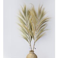 Rayung Grass Pampas Display Colorful Dried Tropical Decor - Natural