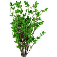Bunch of Mini Leaf Ficus Stems - Mini Ficus Leaf Stem