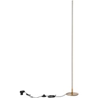 Modern Dimmable LED Floor Light with Remote - Gold