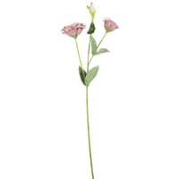 Artificial Lisianthus Spray 56cm - Blush Pink