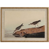 Flora & Fauna Collection Stints on Linen in Beaded Frame - Glass - L2 x W62 x H45 cm - Brown