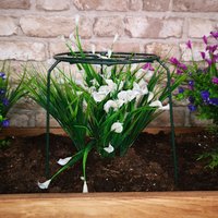 Samuel Alexander, Tom Chambers Urban Dark Green Metal Herbaceous Garden Plant Support 40cm x 20cm - Green Samuel Alexander, Tom Chambers Urban Dark Green Metal Herbaceous Garden Plant Support 40cm x 20cm - Green