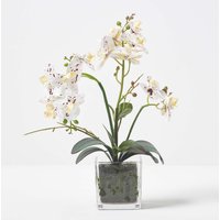 Homescapes 42cm Lifelike White Artificial Orchid in Glass Pot - White