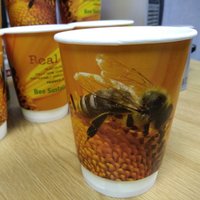 100 x REAL ECO 12oz Double Wall Fully Biodegradible Disposable Paper Cups - Orange