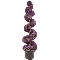 Purple Large Leaf Spiral Trees with Decorative Planter - Purple / 120cm