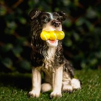 Solar Dog Garden Ornament Light up Tennis Balls - Black and White