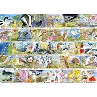 RSPB Birdsong Bluebells 1000 Piece Jigsaw Puzzle - Neutral
