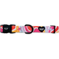 Pretty Pup London Adjustable Dog Collar - Rainbow Swirl - Rainbow / Extra Small