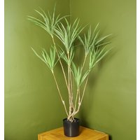 Leaf Dragon Plant Dracaena Tree Artificial Natural Look - Green