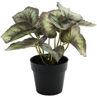 Artificial Potted Plant - Begonia / Begonia