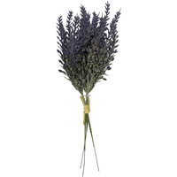 Small Lavender Bundle - Purple