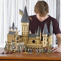 LEGO Hogwarts Castle - Neutral