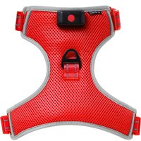 Ultra LED Light Up Dog Harness For Night Time Safety and Walks - Extra Large Red
