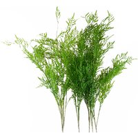 Pack of 6 x Artificial Boston Fern Stem Filler - Boston Fern