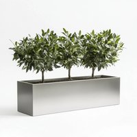 Zinc Galvanised Silver Trough Planter - Silver / 75cm