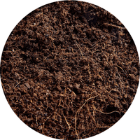 Swell Reptiles Coco Soil - Brown