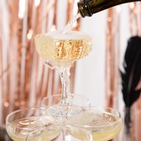 Misket Glass Champagne Saucers - 235ml - Clear / 6