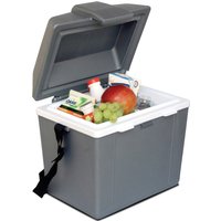 Traveller III P9 Thermoelectric Iceless 12V Cooler Warmer - Grey