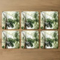 Green plants in botanical garde Designer Coaster Set - Green