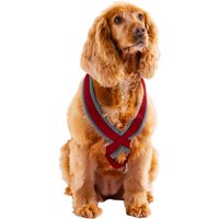 Padded Harness - Red / Large
