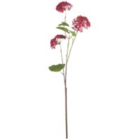Set of 3 Red Autumnal Viburnum Stems - Red