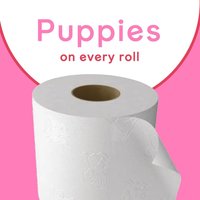 Andrex Toilet Paper 24 Rolls with Washlets 12 Pack - White