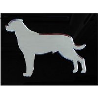 Pet Mirrors, French Bulldog Silver Acrylic Mirror - Silver / 31.5cm Pet Mirrors, French Bulldog Silver Acrylic Mirror - Silver / 31.5cm