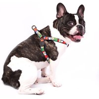 Snoopy Joe Cool Training Harness L - Multicoloured