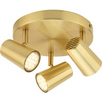 Chobham Adjustable 3 Light Spotlight Plate - Satin Brass