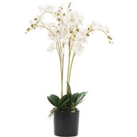 Artificial Luxury Orchid Triple Stem Plant - White
