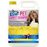 Carpet And Upholstery Shampoo 4 in 1 Concentrate Lemon Fresh - Lemon / 5kg