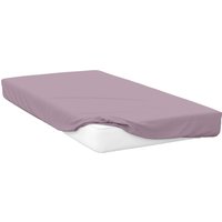 200 Thread Count Egyptian Cotton Fitted Sheet - BM113 - Mulberry / See the label / NA / King