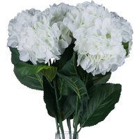 Small Head Hydrangea - White