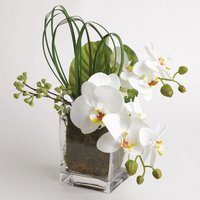 Artificial Large Ikebana Orchid in Glass Pot - White