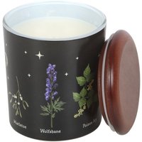 Deadly Nightshade Scented Candle Gothic Poison Plant Gift - Black