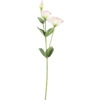 Artificial Lisianthus Spray 56cm - Cream/Pink