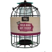 Samuel Alexander, Natures Market Pack Wild Bird Hanging Nut Feeder with Squirrel Guard - Green Samuel Alexander, Natures Market Pack Wild Bird Hanging Nut Feeder with Squirrel Guard - Green