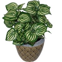 Artificial Watermelon Style Leaves Plant - Green