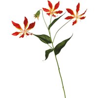 Artificial Single Gloria Lily Flower Stem L75cm - Red